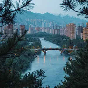 圭亚那的人到比利时旅游攻略